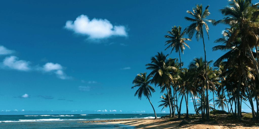 Tropical ocean view with blue seas, clean sand, and palm trees blowing in the breeze. Vista Al Mar travel agency